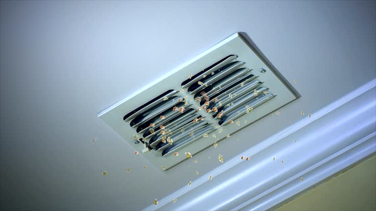Best Air Duct Cleaning Company Near Me  in Lucerne Valley, CA